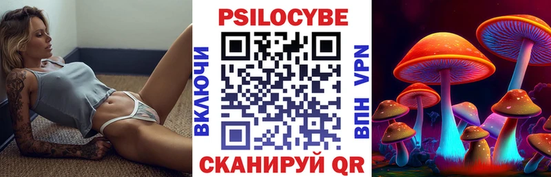 Галлюциногенные грибы Cubensis  Шадринск 