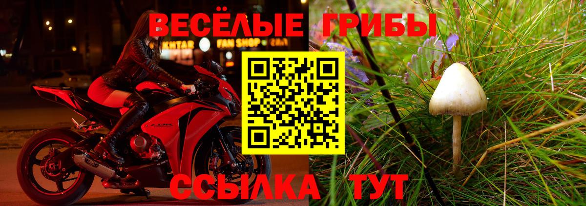 ГАШИШ Шадринск