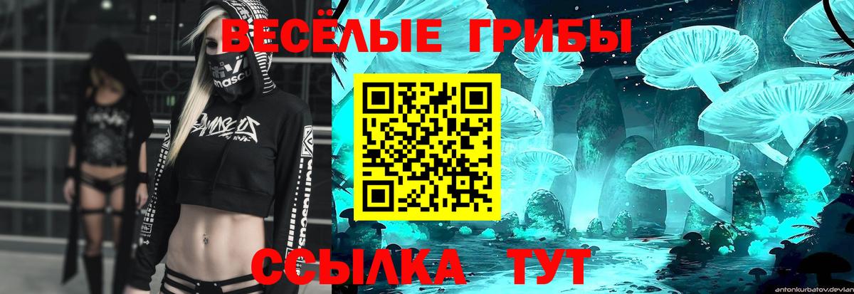 Галлюциногенные грибы прущие грибы  Вход с VPN  Шадринск  Галлюциногенные грибы мицелий 