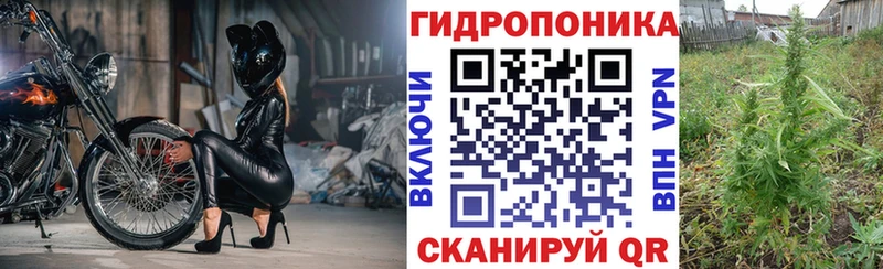 закладка Шадринск Бошки марихуана план